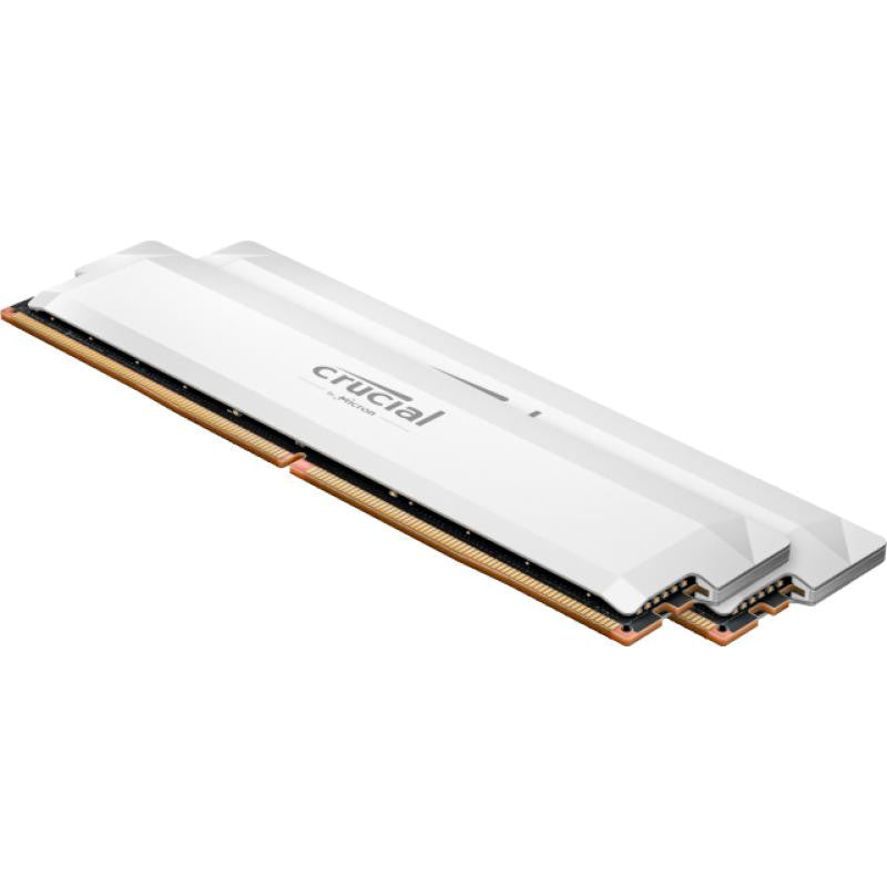Crucial Pro CP2K16G64C38U5W module de mémoire 32 Go 2 x 16 Go DDR5 6400 MT/s 288-pin DIMM
